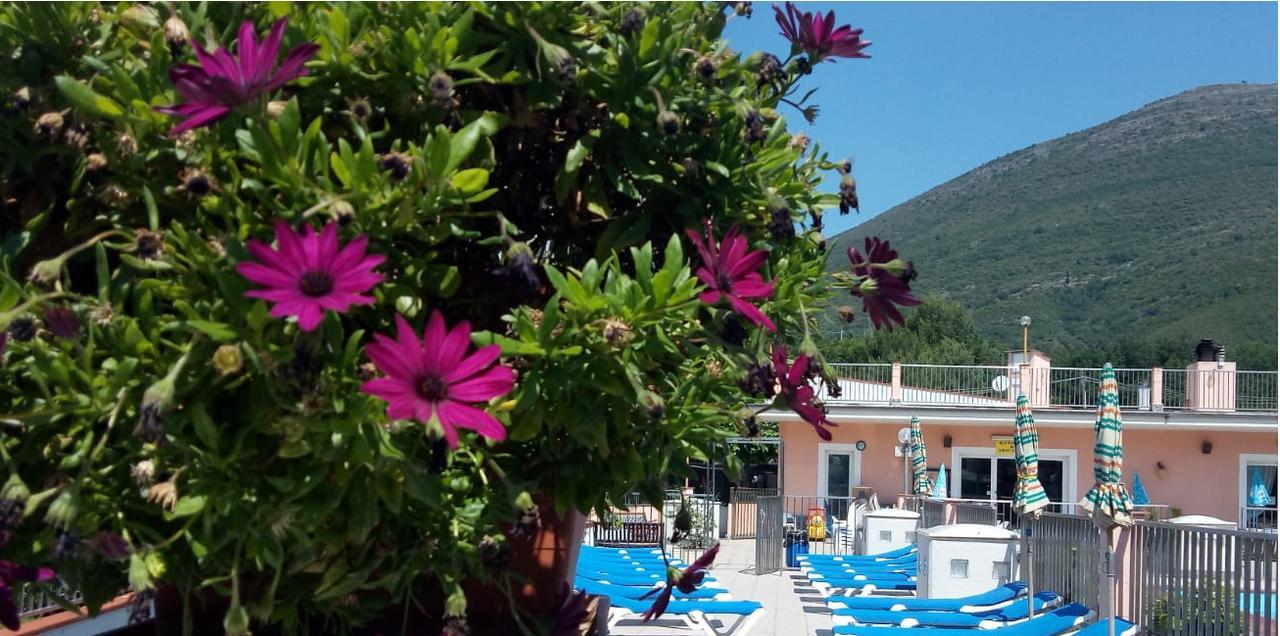 Hotel La Pineta Albenga Exterior foto